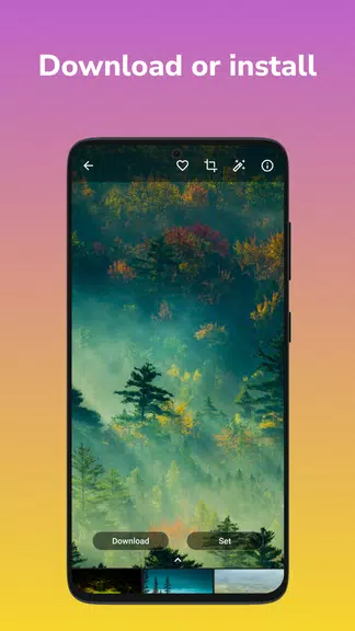 Wallpapers 4K, HD Backgrounds Capture d'écran 4