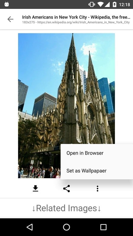 Image Search – ImageSearchMan Screenshot 3