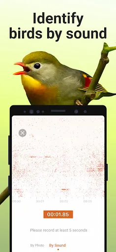 Picture Bird - Bird Identifier Screenshot 4