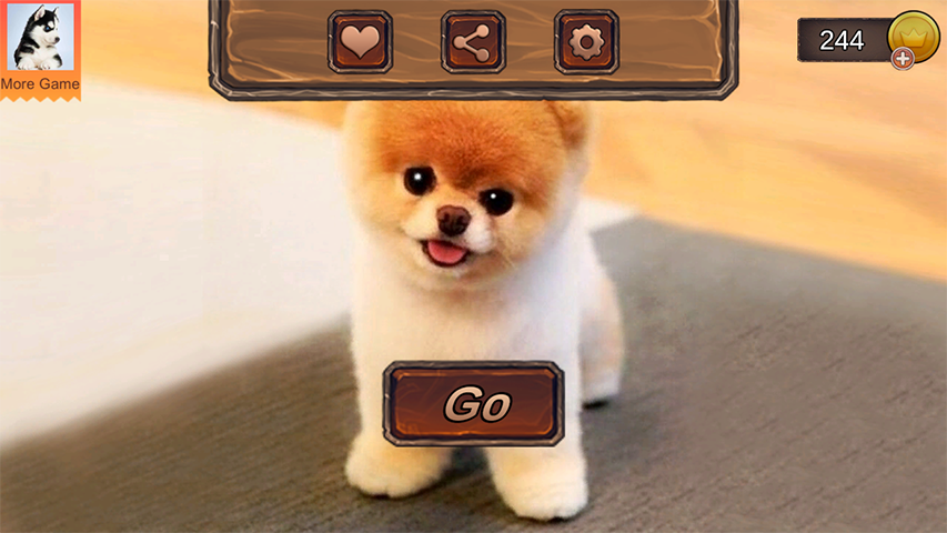 Pomeranian Dog Simulator スクリーンショット 1