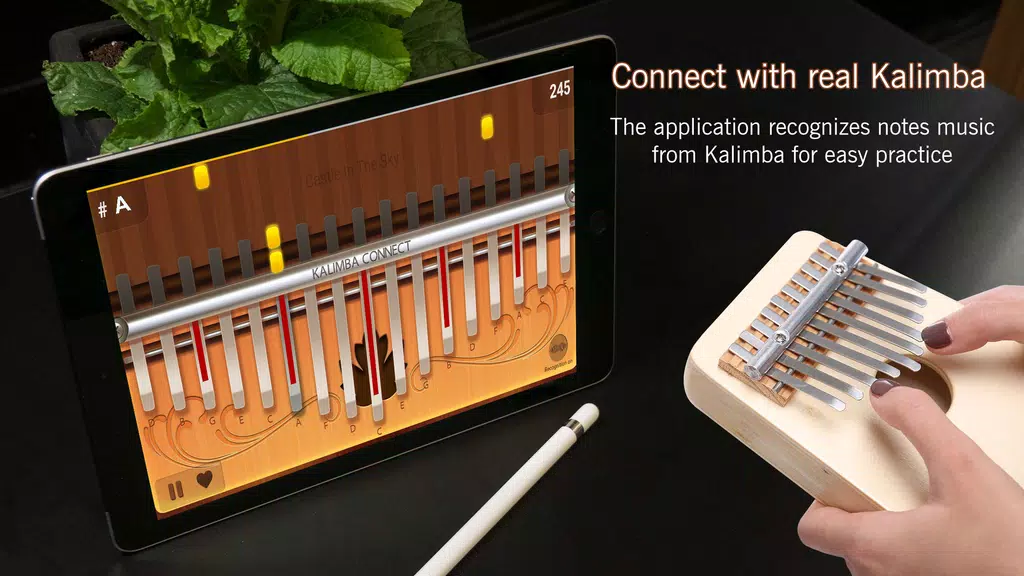 Kalimba Connect Tangkapan skrin 1