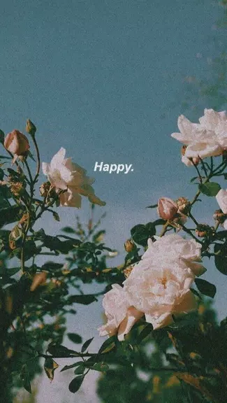 aesthetic background Captura de pantalla 1