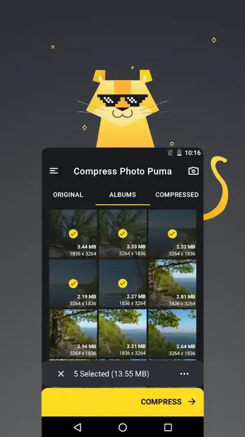 Compress Photo Puma Ảnh chụp màn hình 1