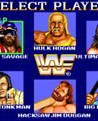 Schermata WWF Superstars of Wrestling Cl 3