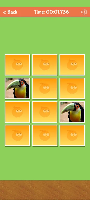 Birds Memory Match Game Captura de tela 1