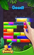 Block Puzzle-Jewel Blast স্ক্রিনশট 3