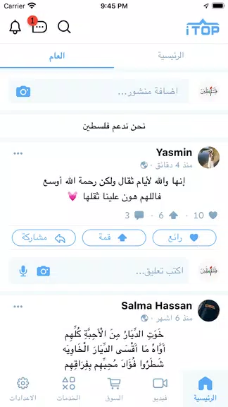 iTop Captura de pantalla 3
