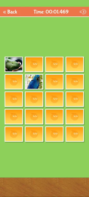 Birds Memory Match Game Captura de tela 3