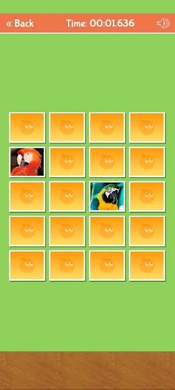 Birds Memory Match Game Captura de tela 4