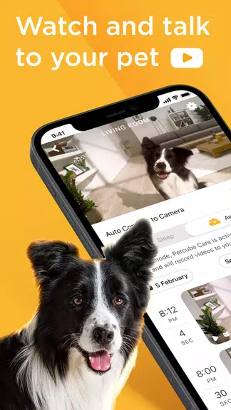 Petcube ภาพหน้าจอ 1