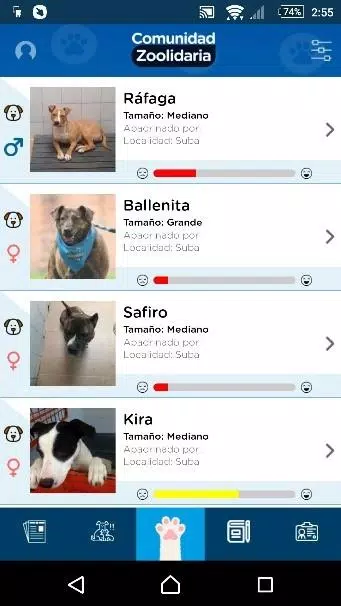 Schermata Distrito Appnimal 1