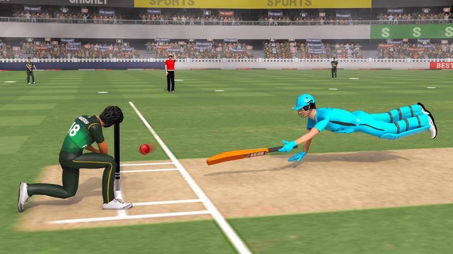 Real World Cricket Games Tangkapan skrin 2