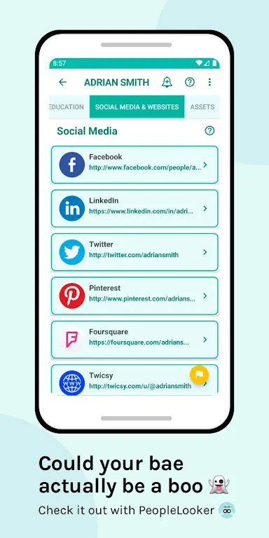 PeopleLooker Background Search Captura de pantalla 2