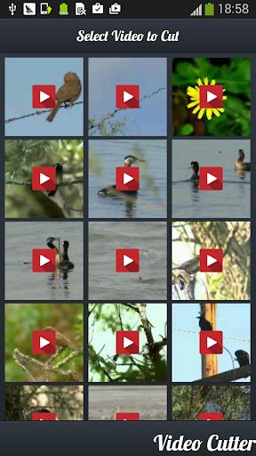 Video Cutter : Video Trimmer應用截圖第4張
