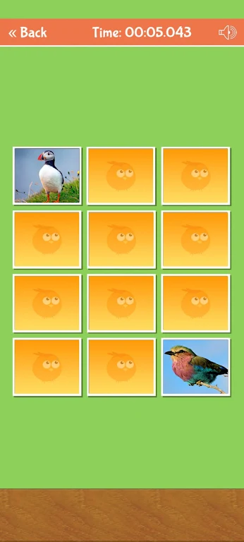 Birds Memory Match Game Captura de tela 2