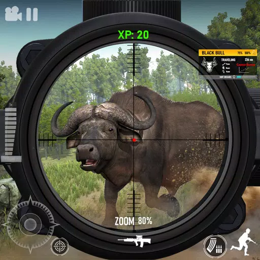 Hunting Simulator