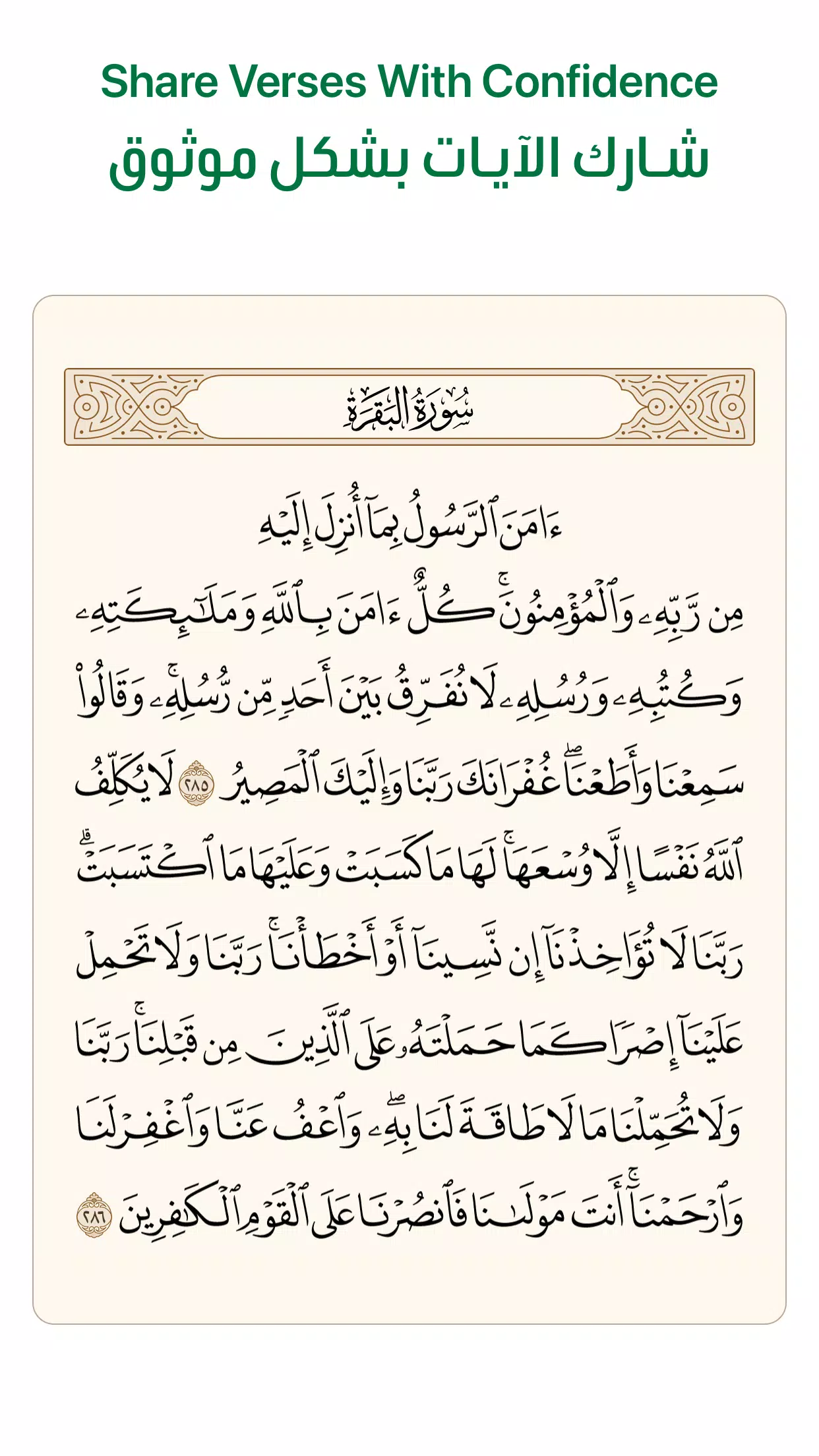 آية - تطبيق القرآن الكريم 스크린샷 4