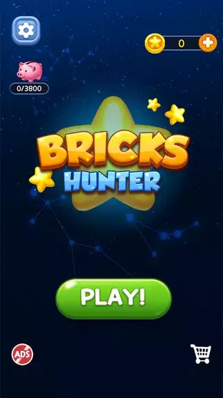 Bricks Hunter : Cube Puzzle Tangkapan skrin 1