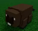 Beaver