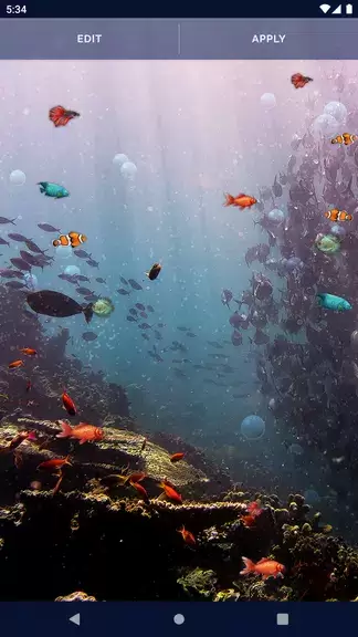 Ocean Fish Live Wallpaper 4K Zrzut ekranu 4