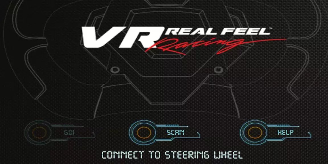 VR Real Feel Racing Screenshot 1