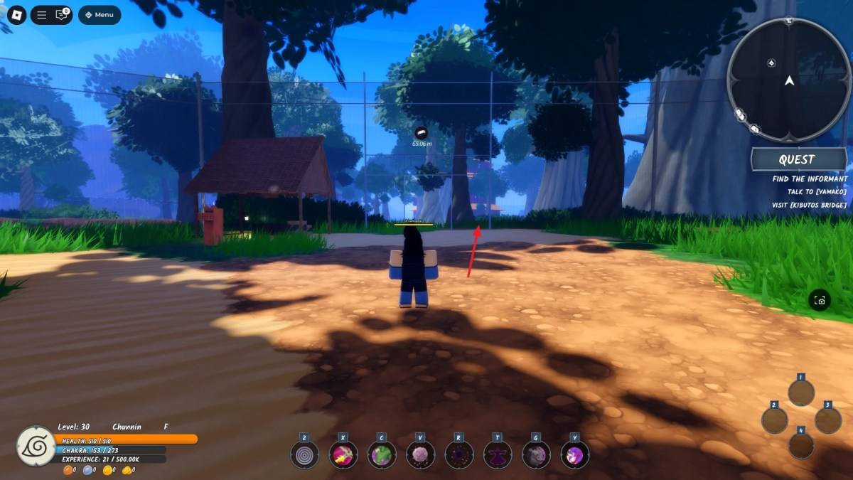 Location of the enterance to the Dead Forest in Ninja Time Roblox experience