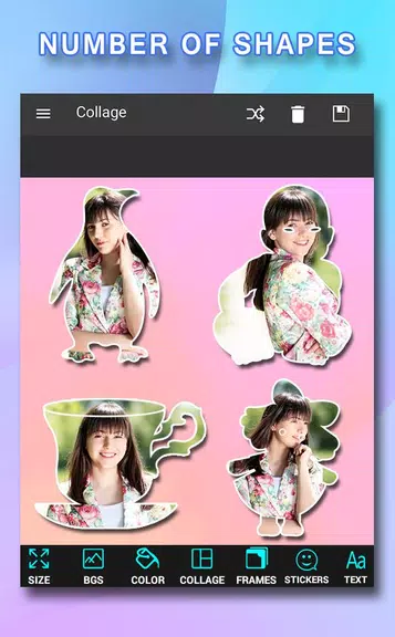 Pic Frames Collage Captura de pantalla 3