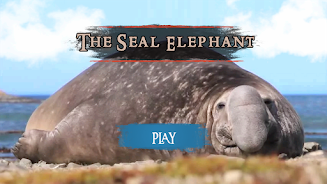 The Seal Elephant Captura de pantalla 2