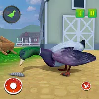 Talking Duck Bird game