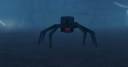Baby Spider
