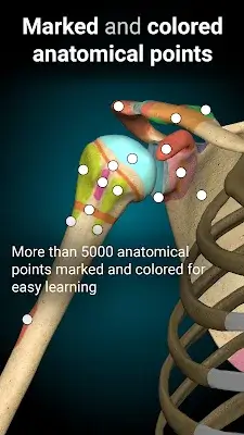 Anatomy Learning - 3D Anatomy应用截图第3张