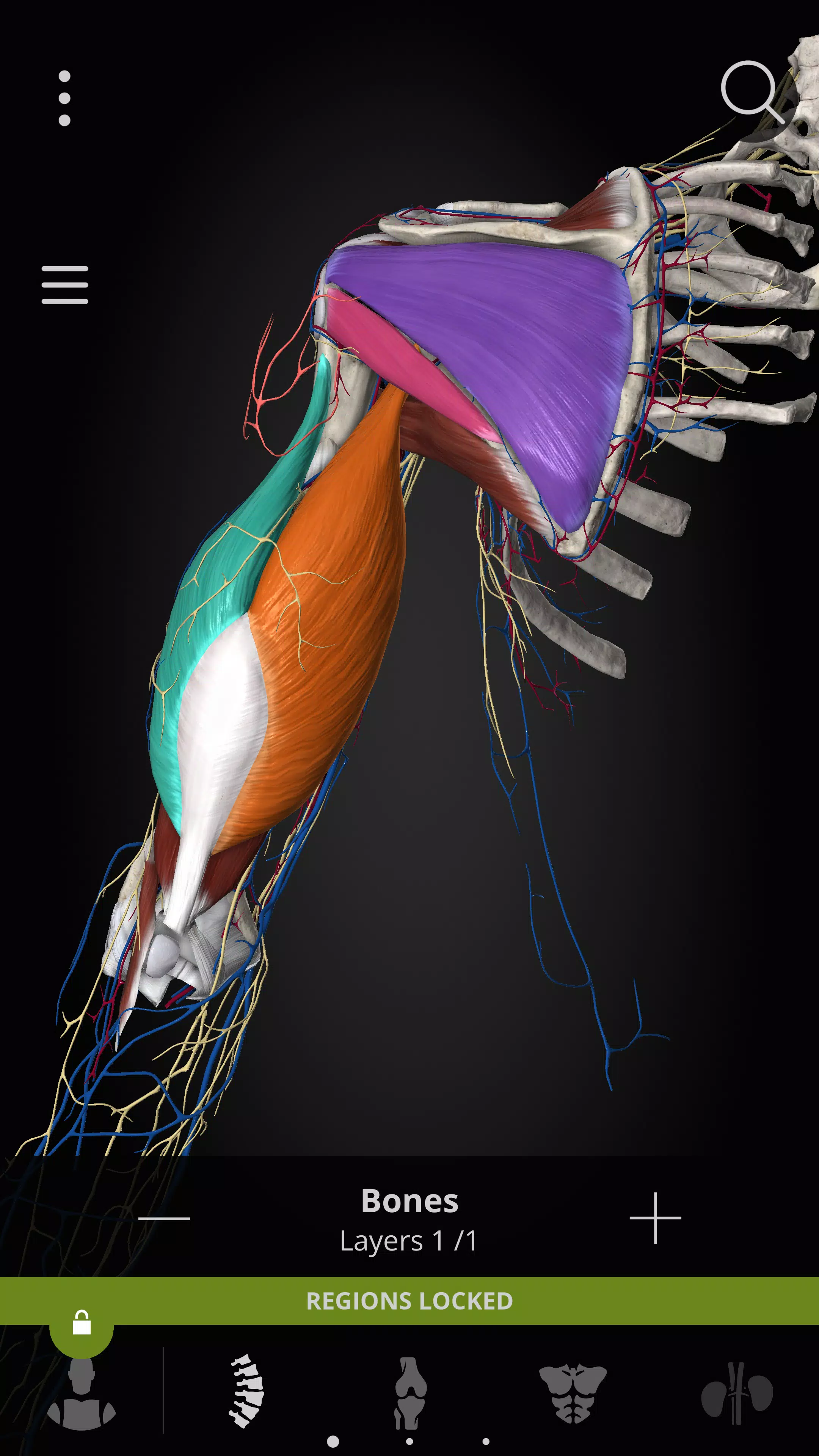 Anatomyka - 3D Anatomy Atlas應用截圖第4張