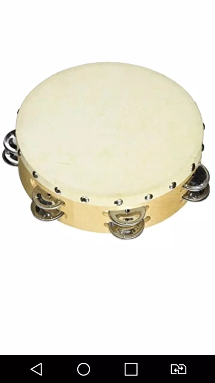 Virtual Tambourine Offline应用截图第1张