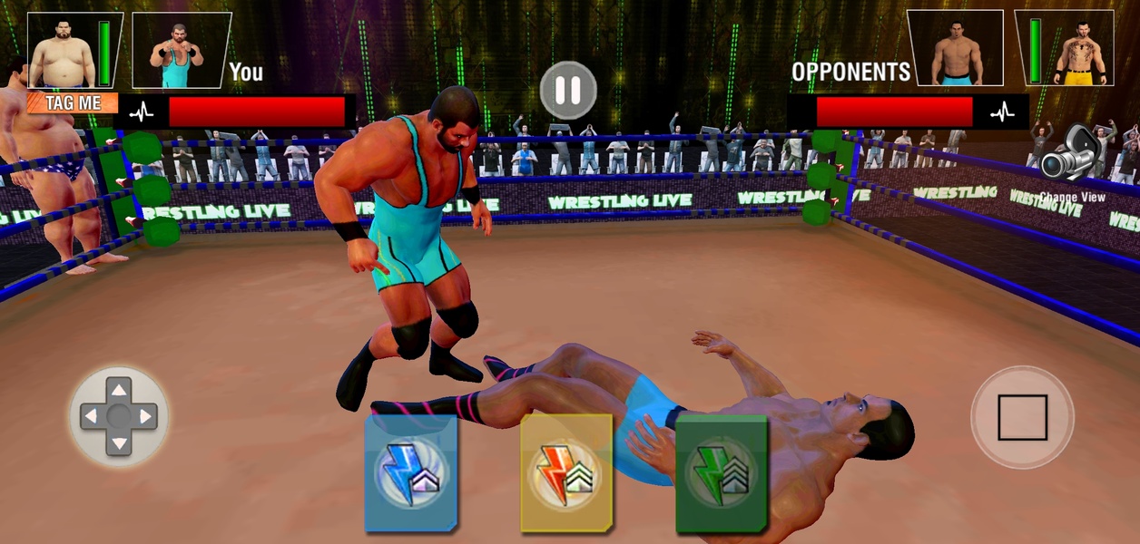 Tag Team Wrestling Games: Mega Cage Ring Fighting Screenshot 2