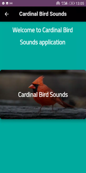 Cardinal sounds and calls Ekran Görüntüsü 1