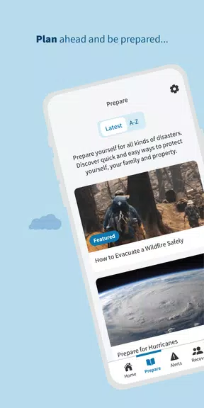 FEMA Screenshot 2
