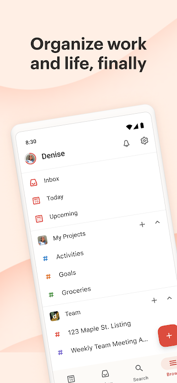 Todoist Zrzut ekranu 1