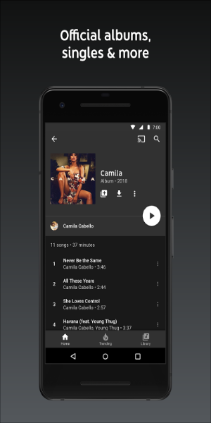 YouTube Music Mod Tangkapan skrin 1