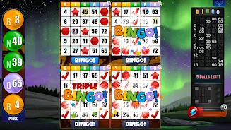 Absolute Bingo স্ক্রিনশট 3
