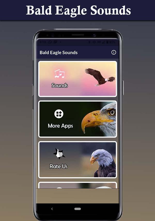 Bald Eagle Sounds應用截圖第3張