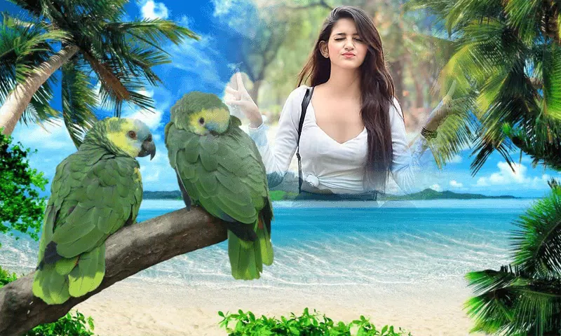 Birds Photo frame : Bird photo Captura de tela 1