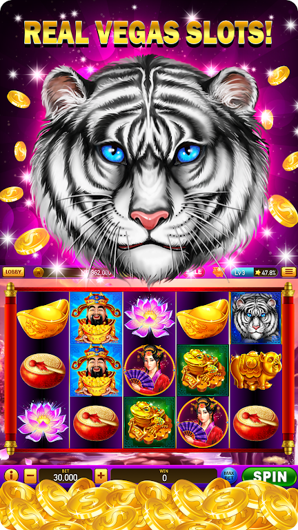 Slots - Lucky Slot Casino Wins Schermafbeelding 1