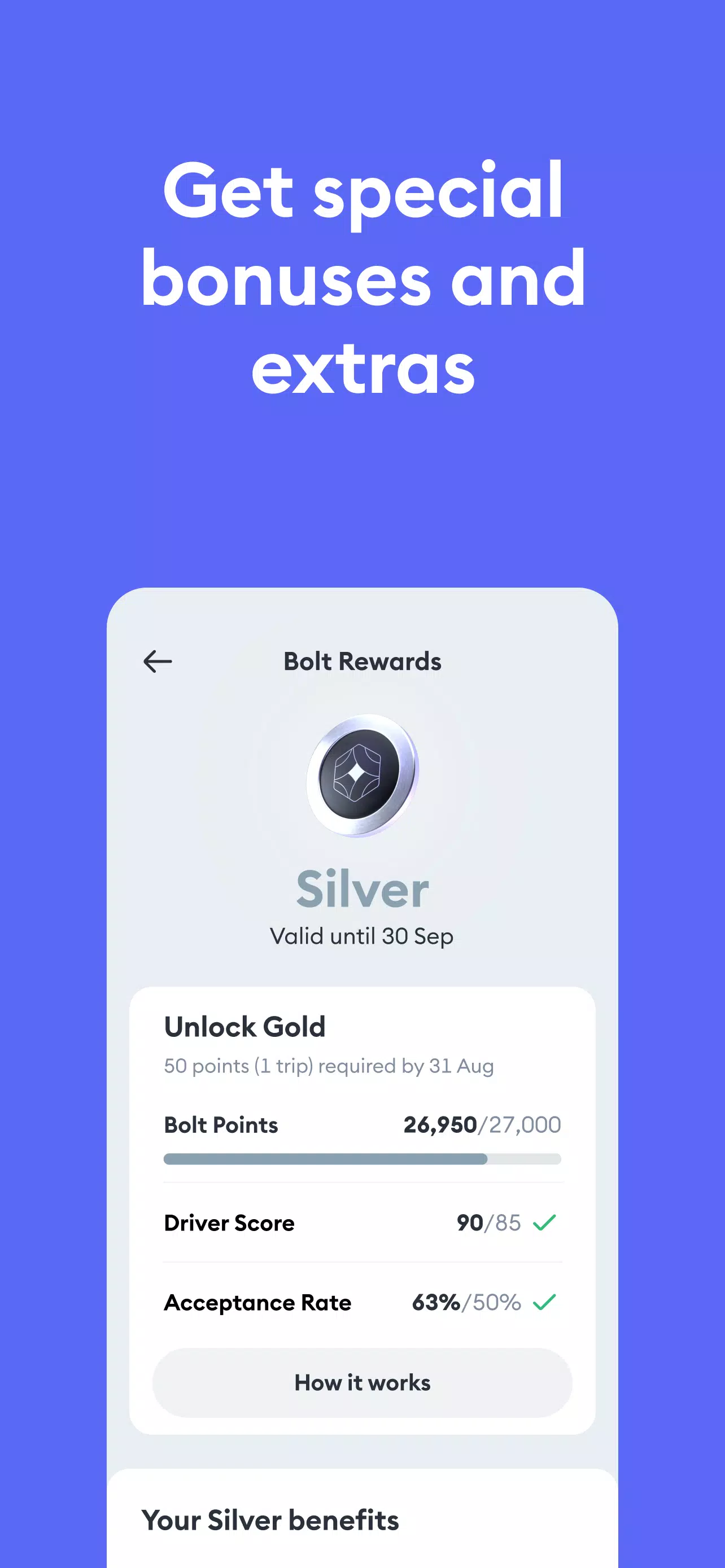 Bolt Driver: Drive & Earn Screenshot 2