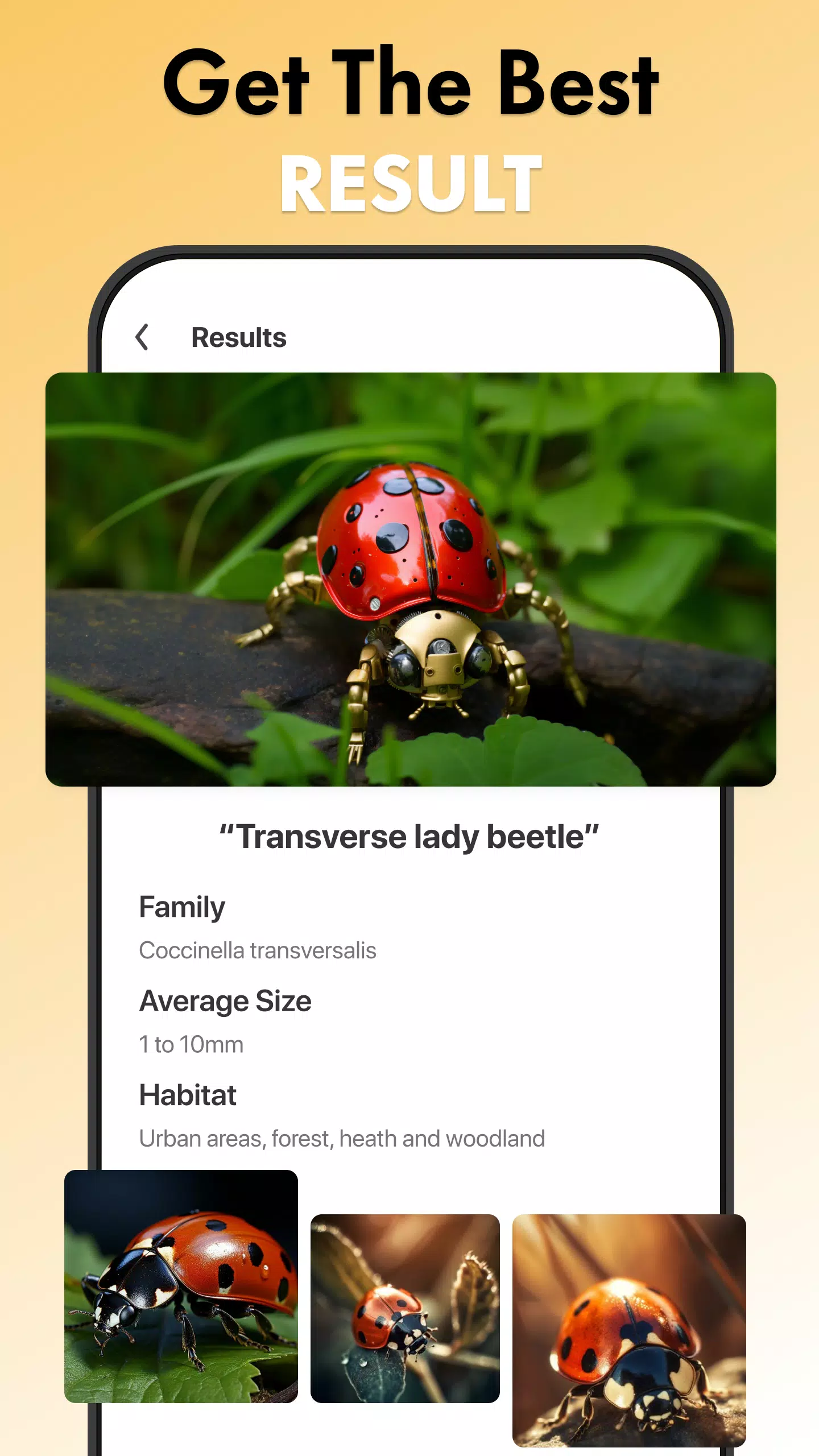 Insect Identifier Bug Identify Captura de tela 3