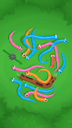 Snake Knot: Sort Puzzle Game应用截图第2张