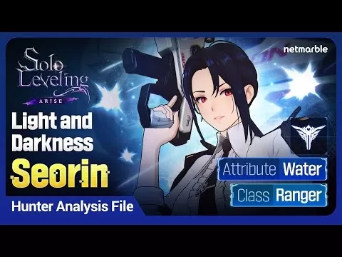 Solo -nivellering: ARISE UPDATE -afbeelding