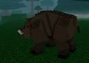 Boar