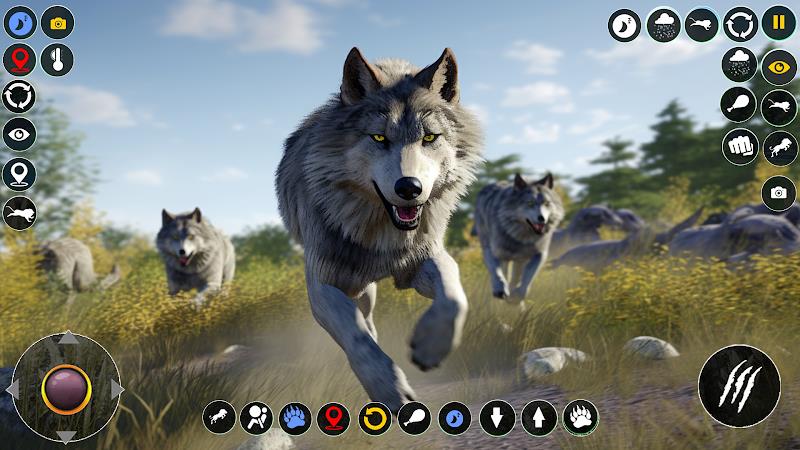 Wolf Simulator: Wild Wolf Game Capture d'écran 3