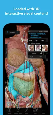 Human Anatomy Atlas 2024 Zrzut ekranu 1