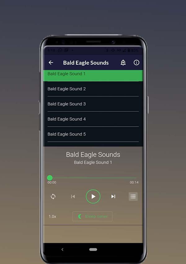 Bald Eagle Sounds應用截圖第1張